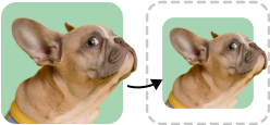 Resize image